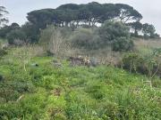 Terreno T0, São João Das Lampas e Terrugem, Sintra | BPI...