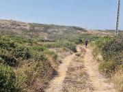 Terreno T0, São João Das Lampas e Terrugem, Sintra | BPI...