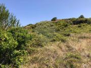 Terreno T0, São João Das Lampas e Terrugem, Sintra | BPI...