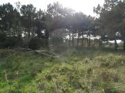 Terreno T0, São João Das Lampas e Terrugem, Sintra | BPI...