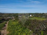 Terreno T0, São João Das Lampas e Terrugem, Sintra | BPI...