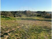 Terreno T0, São José Da Lamorosa, Coruche | BPI Expresso...