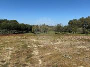 Terreno T0, São José Da Lamorosa, Coruche | BPI Expresso...