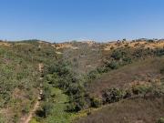 Terreno T0, São Martinho Das Amoreiras, Odemira | BPI...