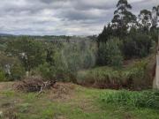 Terreno T0, São Martinho Do Bispo e Ribeira de Frades,...