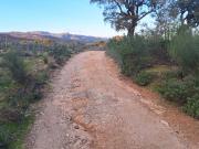 Terreno T0, São Vicente Da Beira, Castelo Branco | BPI...