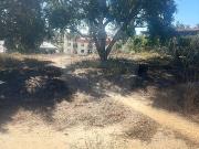 Terreno T0, Sado, Setúbal | BPI Expresso Imobiliário Terreno T0, Sado, Setúbal | BPI Expresso Imobiliário