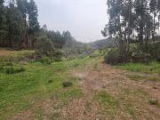 Terreno T0, Salgueiro Do Campo, Castelo Branco | BPI...