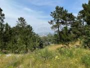 Terreno T0, Salvador Do Monte, Amarante | BPI Expresso...