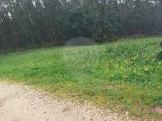 Terreno T0, Santa Catarina, Caldas da Rainha | BPI...