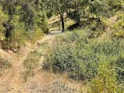 Terreno T0, Santa Clara A Velha, Odemira | BPI Expresso...