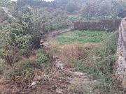 Terreno T0, Santa Cruz, Armamar | BPI Expresso Imobiliário