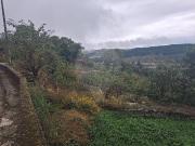 Terreno T0, Santa Cruz, Armamar | BPI Expresso Imobiliário