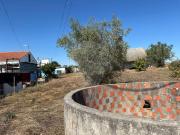 Terreno T0, Santana Do Mato, Coruche | BPI Expresso...