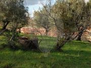 Terreno T0, Santiago e São Simão de Litém e Albergaria...