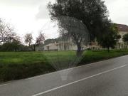 Terreno T0, Santiago e São Simão de Litém e Albergaria...