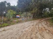 Terreno T0, Santiago e São Simão de Litém e Albergaria...