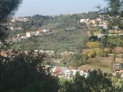 Terreno T0, Santo António Dos Olivais, Coimbra | BPI...