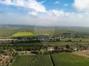 Terreno T0, Santo Varão, Montemor o Velho | BPI Expresso...