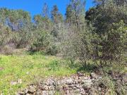 Terreno T0, Sarzedas, Castelo Branco | BPI Expresso...