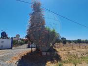 Terreno T0, Serpa Salvador e Santa Maria, Serpa | BPI...