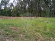 Terreno T0, Sobreira, Paredes | BPI Expresso Imobiliário