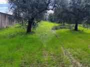 Terreno T0, Souselas e Botão, Coimbra | BPI Expresso...