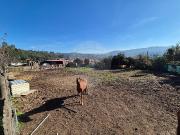 Terreno T0, Tebosa, Braga | BPI Expresso Imobiliário