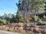 Terreno T0, Vilar e Mosteiró, Vila do Conde | BPI...