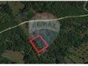 Terreno T0, Zambujal, Condeixa a Nova | BPI Expresso...