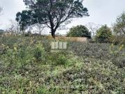 Terreno T1, Afife, Viana do Castelo | BPI Expresso...