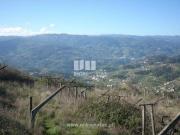 Terreno T1, Ancede e Ribadouro, Baião | BPI Expresso...