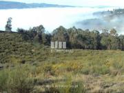 Terreno T1, Ancede e Ribadouro, Baião | BPI Expresso...