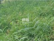 Terreno T1, Âncora, Caminha | BPI Expresso Imobiliário