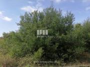 Terreno T1, Anha, Viana do Castelo | BPI Expresso...