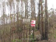 Terreno T1, Avessadas e Rosém, Marco de Canaveses | BPI...