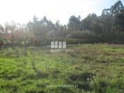 Terreno T1, Barroselas e Carvoeiro, Viana do Castelo |...