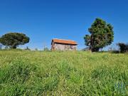 Terreno T1 em Lamas e Cercal de 3520,00 m²