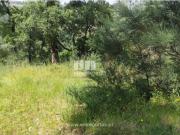 Terreno T1, Espadanedo, Cinfães | BPI Expresso Imobiliário