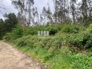 Terreno T1, Retorta e Tougues, Vila do Conde | BPI...