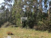 Terreno T1, Rio Mau e Arcos, Vila do Conde | BPI...