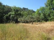 Terreno, Talaveruela de la Vera