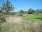 Terreno, Talaveruela de la Vera