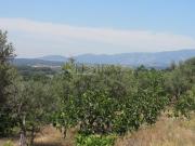 Terreno, Talaveruela de la Vera