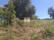 Terreno, Taveiro, Ameal e Arzila, Coimbra | BPI Expresso...