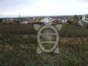 Terreno, Taveiro, Ameal e Arzila, Coimbra | BPI Expresso...