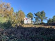 Terreno, Taveiro, Ameal e Arzila, Coimbra | BPI Expresso...