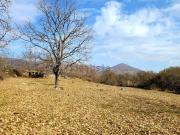 Terreno, Tejeda de Tiétar