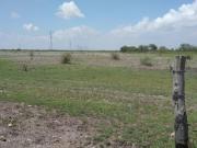 Terreno TIPO RUSTICO en CD. CUAUHTEMOC Terreno TIPO RUSTICO en CD. CUAUHTEMOC