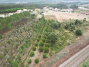 Terreno, Tornada e Salir Do Porto, Caldas da Rainha |...